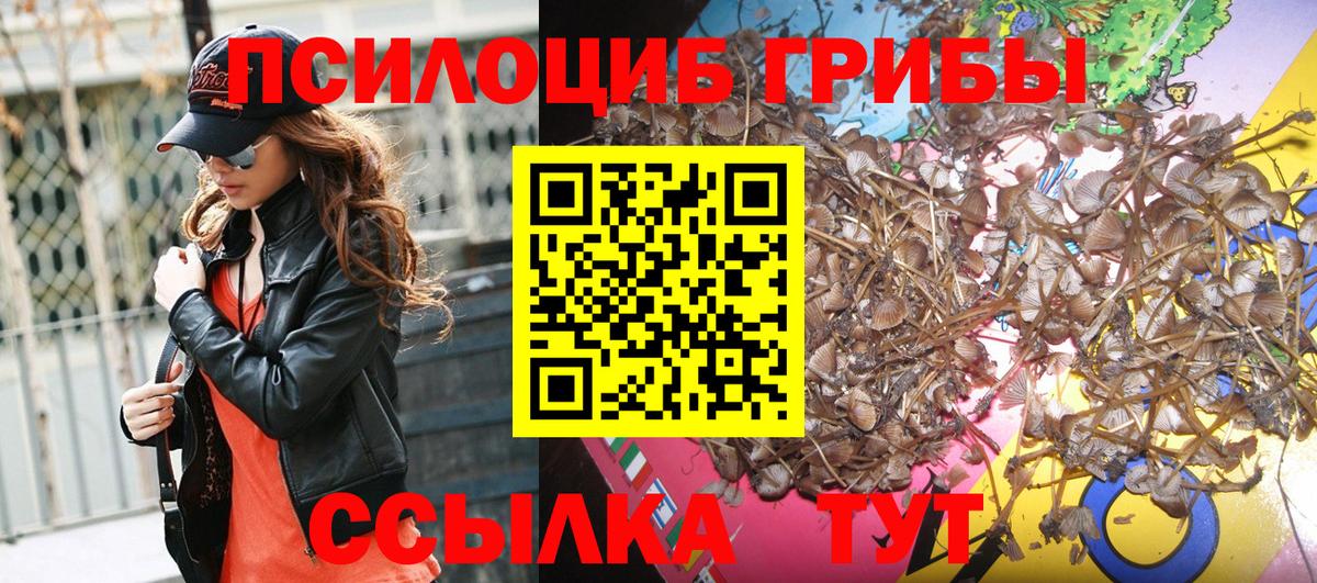 Галлюциногенные грибы GOLDEN TEACHER Комсомольск-на-Амуре